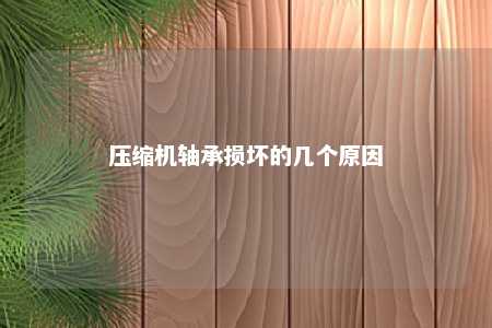 压缩机轴承损坏的几个原因 